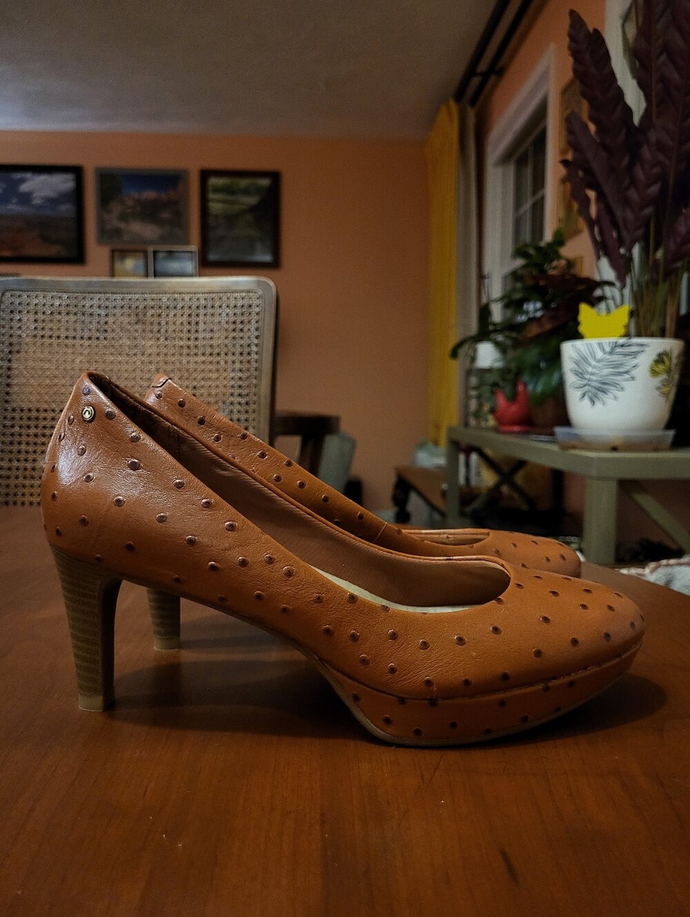 Rockport Heels Size 7.5